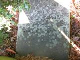 image of grave number 932841